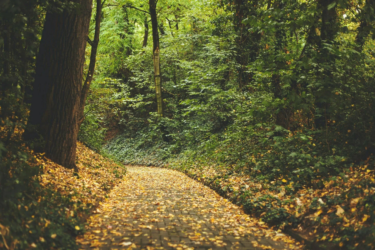 Grace for the Growing Pains